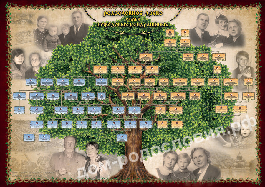 Код генеалогического древа. Родословное дерево Ругон-Маккаров. Родовое дерево семьи Зобенко. Геологическое дерево.